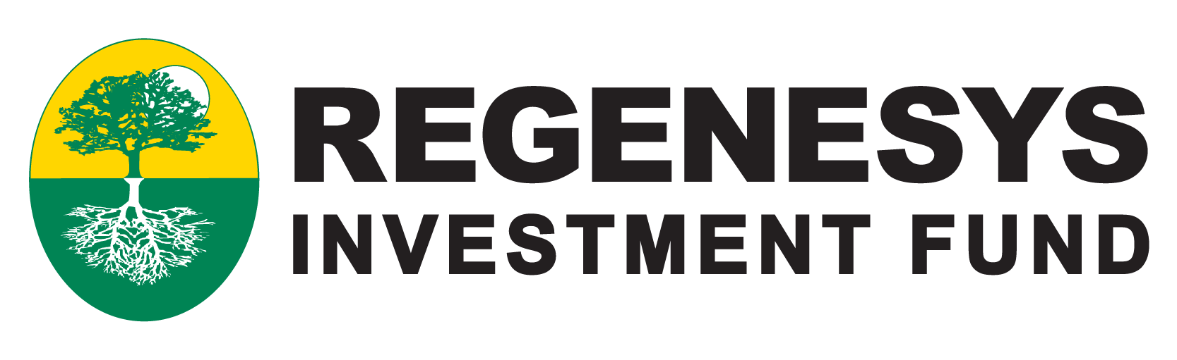 Regenesys Investment Fund